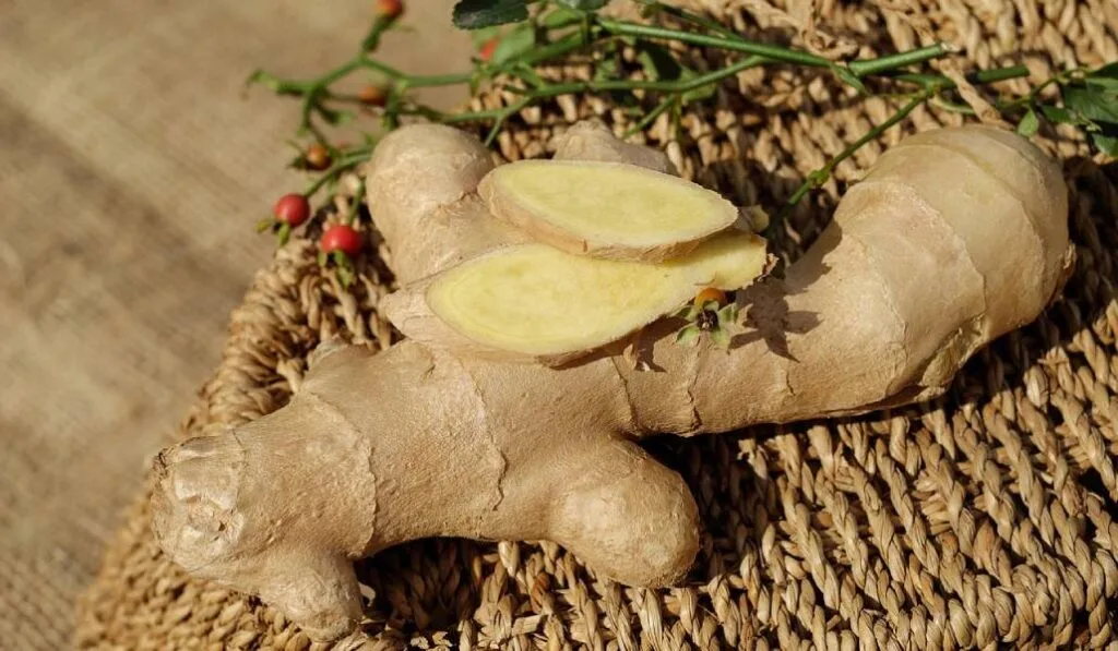 ginger beer ingredients